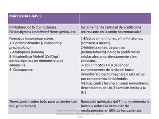 MIASTENIA GRAVIS.
Inhibidores de la Colinesterasa.
Piridostigmina (mestinon) Neostigmina, etc.
Incrementan la cantidad de acetilcolina
recirculante en la unión neuromuscular.
Fármacos Inmunosupresores:
1 -Corticoesteroides (Prednisona y
prednisolona)
2-Azatioprina (Imuran)
3-Micofenilato Mofetil (CellCept)
deshidrogenasa de monofosfato de
adenosina.
4- Ciclosporina:
1-Efectos aintiinmunes, antiinflmatorios,
(semanas a meses(.
2-Inhibe la sínteis de purinas
(antimetabolito) Inhibe la proliferación
celular afectando directamente a los
Linfocitos.
3- Los linfocitos T y B dependen
completamente de la vía del inosin
monofosfato deshidrogenasa y ésta actúa
por competencia inhibiéndole.
4-Eficaz contra los mecanismos inmunitarios
dependientes de Lin. T también inhibe a la
IL-2
Timectomía: (sobre todo para pacientes con
MG generalizada)
Resección quirúrgica del Timo; incrementa la
fuerza y reduce la necesidad de
medicamentos en 50% de los pacientes.https://www.mda.org/sites/default/files/p
ublications/Facts_MyastheniaGravis_Spanis
h.pdf
 