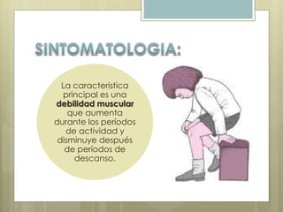 La característica 
principal es una 
debilidad muscular 
que aumenta 
durante los períodos 
de actividad y 
disminuye después 
de períodos de 
descanso. 
 