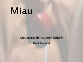Miau
Ministerio de Jóvenes Kidush
Red Juvenil
 