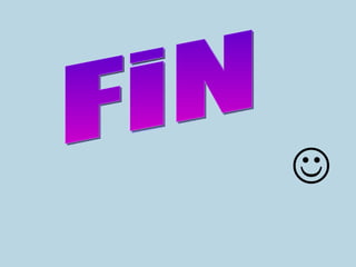  FiN 