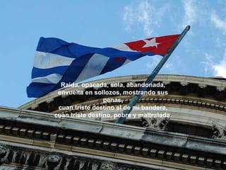 Raída, opacada, sola, abandonada, envuelta en sollozos, mostrando sus penas, cuan triste destino el de mi bandera, cuan triste destino, pobre y maltratada. 