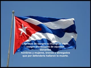 Lágrimas de sangre su triángulo vierte, sangre proveniente de aquellos donantes hombres y mujeres, bravos y abnegados que por defenderla hallaron la muerte. 