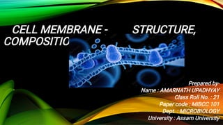 CELL MEMBRANE - STRUCTURE,
COMPOSITION AND FUNCTIONS
Prepared by-
Name : AMARNATH UPADHYAY
Class Roll No. : 21
Paper code : MIBCC 101
Dept. : MICROBIOLOGY
University : Assam University
 