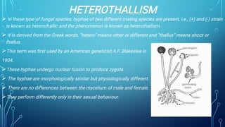 HETEROTHALLISM







In these type of fungal species, hyphae of two different mating species are present, i.e., (+) and (-) strain
is known as heterothallic and the phenomenon is known as heterothallism.
It is derived from the Greek words, “hetero” means other or different and “thallus” means shoot or
thallus.
This term was ﬁrst used by an American geneticist A.F. Blakeslee in
1904.
These hyphae undergo nuclear fusion to produce zygote.
The hyphae are morphologically similar but physiologically different.
There are no differences between the mycelium of male and female.
They perform differently only in their sexual behaviour.
 