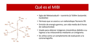Mibi | PPTX