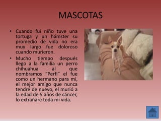 MASCOTAS
• Cuando fui niño tuve una
  tortuga y un hámster su
  promedio de vida no era
  muy largo fue doloroso
  cuando murieron.
• Mucho tiempo después
  llego a la familia un perro
  chihuahua        al      que
  nombramos “Perfi” el fue
  como un hermano para mi,
  el mejor amigo que nunca
  tendré de nuevo, el murió a
  la edad de 5 años de cáncer,
  lo extrañare toda mi vida.
 