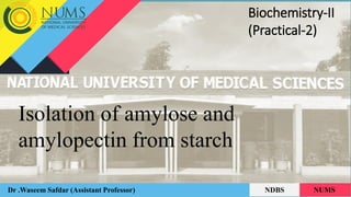 Isolation of amylose and
amylopectin from starch
Dr .Waseem Safdar (Assistant Professor) NDBS NUMS
Biochemistry-II
(Practical-2)
 
