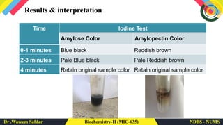 Isolation of Amylose | PDF