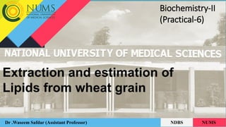 Extraction and estimation of
Lipids from wheat grain
Dr .Waseem Safdar (Assistant Professor) NDBS NUMS
Biochemistry-II
(Practical-6)
 