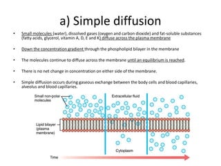 a) Simple diffusion
• Small molecules (water), dissolved gases (oxygen and carbon dioxide) and fat-soluble substances
(fatty acids, glycerol, vitamin A, D, E and K) diffuse across the plasma membrane
• Down the concentration gradient through the phospholipid bilayer in the membrane
• The molecules continue to diffuse across the membrane until an equilibrium is reached.
• There is no net change in concentration on either side of the membrane.
• Simple diffusion occurs during gaseous exchange between the body cells and blood capillaries,
alveolus and blood capillaries.
 