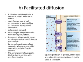 b) Facilitated diffusion
• A carrier or transport protein is
needed to allow a molecule to
diffuse.
• move from an area of high
concentration to an area of low
concentration across the cell
membrane
• cell energy is not used.
• Small charged ions (mineral ions)
move across pore proteins.
• Pore proteins have specific shapes
and charges to allow specific ions to
pass through.
• Larger uncharged water soluble
molecules (glucose, amino acids)
move with the help of carrier
proteins.
• The carrier proteins have specific
binding sites to combine with
specific molecules
Eg; transportation of glucose, amino acids
and mineral ions from the ileum into the
villus of the ileum.
 
