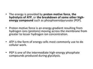 • The energy is provided by proton motive force, the
hydrolysis of ATP, or the breakdown of some other high-
energy compound such as phosphoenolpyruvate (PEP).
• Proton motive force is an energy gradient resulting from
hydrogen ions (protons) moving across the membrane from
greater to lesser hydrogen ion concentration.
• ATP is the form of energy cells most commonly use to do
cellular work.
• PEP is one of the intermediate high-energy phosphate
compounds produced during glycolysis.
 