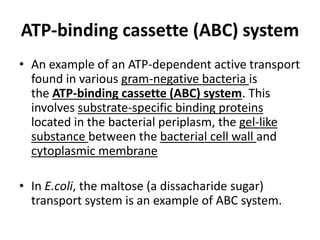 ATP-binding cassette (ABC) system
• An example of an ATP-dependent active transport
found in various gram-negative bacteria is
the ATP-binding cassette (ABC) system. This
involves substrate-specific binding proteins
located in the bacterial periplasm, the gel-like
substance between the bacterial cell wall and
cytoplasmic membrane
• In E.coli, the maltose (a dissacharide sugar)
transport system is an example of ABC system.
 