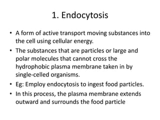 1. Endocytosis
• A form of active transport moving substances into
the cell using cellular energy.
• The substances that are particles or large and
polar molecules that cannot cross the
hydrophobic plasma membrane taken in by
single-celled organisms.
• Eg: Employ endocytosis to ingest food particles.
• In this process, the plasma membrane extends
outward and surrounds the food particle
 