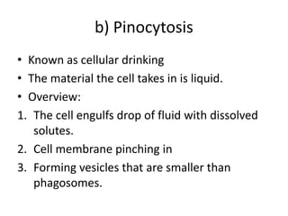 b) Pinocytosis
• Known as cellular drinking
• The material the cell takes in is liquid.
• Overview:
1. The cell engulfs drop of fluid with dissolved
solutes.
2. Cell membrane pinching in
3. Forming vesicles that are smaller than
phagosomes.
 