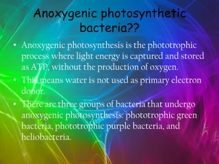 Anoxygenic photosynthetic
            bacteria??
• Anoxygenic photosynthesis is the phototrophic
  process where light ene...
