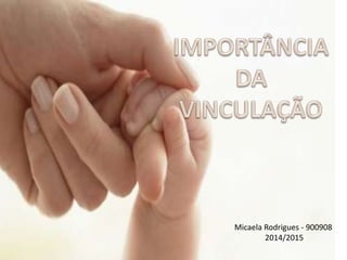 Micaela Rodrigues - 900908 
2014/2015 
 