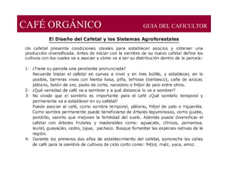 CAFÉ ORGÁNICO GUIA DEL CAFICULTOR
 