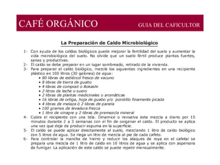 CAFÉ ORGÁNICO GUIA DEL CAFICULTOR
 