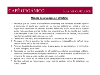CAFÉ ORGÁNICO GUIA DEL CAFICULTOR
 