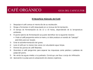 CAFÉ ORGÁNICO GUIA DEL CAFICULTOR
 