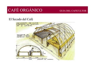 CAFÉ ORGÁNICO GUIA DEL CAFICULTOR
El Secado del Café
 