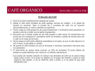 CAFÉ ORGÁNICO GUIA DEL CAFICULTOR
 