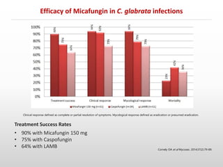 Cornely OA et al Mycoses. 2014;57(2):79-89.
Efficacy of Micafungin in C. glabrata infections
Clinical response defined as complete or partial resolution of symptoms. Mycological response defined as eradication or presumed eradication.
Treatment Success Rates
• 90% with Micafungin 150 mg
• 75% with Caspofungin
• 64% with LAMB
 