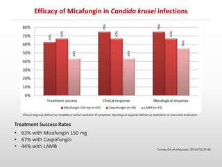 Efficacy of Micafungin in Candida krusei infections
Cornely OA et al Mycoses. 2014;57(2):79-89.
Clinical response defined as complete or partial resolution of symptoms. Mycological response defined as eradication or presumed eradication.
Treatment Success Rates
• 63% with Micafungin 150 mg
• 67% with Caspofungin
• 44% with LAMB
 