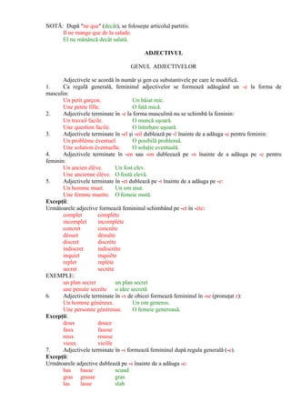 Mica gramatica a limbii franceze