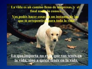 La vida es un camino lleno de sorpresas, y  el final nadie lo conoce... Vos podés hacer cosas en un instante, de las que te arrepentirás para toda la vida.   Lo que importa no es lo que vos tenés en la vida, sino a quién tenés en la vida. 