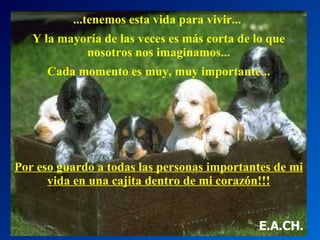 ...tenemos esta vida para vivir...  Y la mayoría de las veces es más corta de lo que nosotros nos imaginamos... Cada momento es muy, muy importante... Por eso guardo a todas las personas importantes de mi vida en una cajita dentro de mi corazón!!! E.A.CH. 