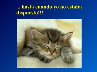 ... hasta cuando yo no estaba dispuesto!!! 