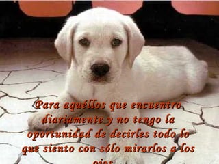 Para aquéllos que encuentro diariamente y no tengo la oportunidad de decirles todo lo que siento con sólo mirarlos a los ojos... 