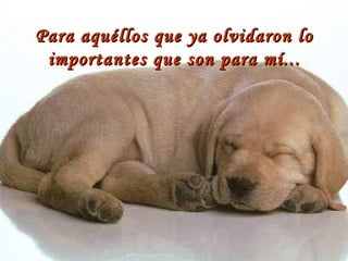 Para aquéllos que ya olvidaron lo importantes que son para mí... 