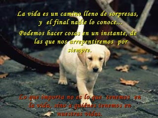 La vida es un camino lleno de sorpresas, y  el final nadie lo conoce... Podemos hacer cosas en un instante, de las que nos arrepentiremos  por siempre.  Lo que importa no es lo que  tenemos  en la vida, sino a quiénes tenemos en nuestras vidas. 