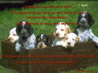...tenemos esta vida para vivir...  Y la mayoría de las veces es más corta de lo que nosotros nos imaginamos... Cada momento es muy, muy importante... 18/10/09   21:16 Por eso guardo a todas las personas importantes de mi vida en una cajita dentro de mi corazón!!! 