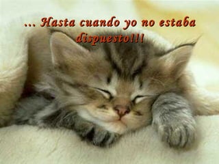 ... Hasta cuando yo no estaba dispuesto!!! 