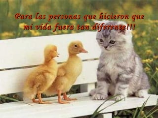 Para las personas que hicieron que mi vida fuera tan diferente!!! 