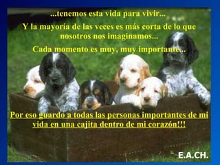 ...tenemos esta vida para vivir...  Y la mayoría de las veces es más corta de lo que nosotros nos imaginamos... Cada momento es muy, muy importante... Por eso guardo a todas las personas importantes de mi vida en una cajita dentro de mi corazón!!! E.A.CH. 
