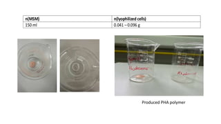 n(MSM) n(lyophilized cells)
150 ml 0.041 – 0.096 g
Produced PHA polymer
 