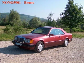 NONO5901 - Bruno 