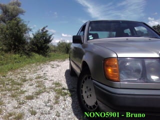 NONO5901 - Bruno 