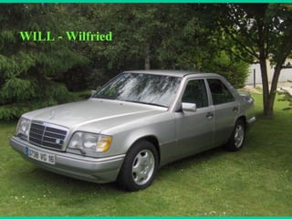 WILL - Wilfried 