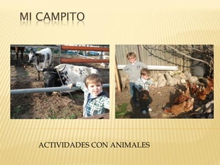 MI CAMPITO




  ACTIVIDADES CON ANIMALES
 