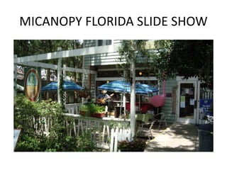 MICANOPY FLORIDA SLIDE SHOW
 