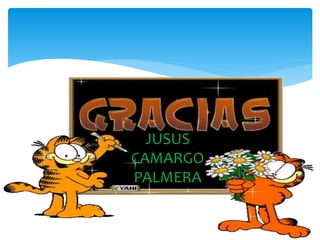 JUSUS
CAMARGO
PALMERA
 