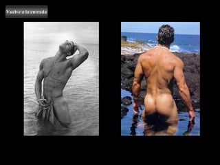 Vuelve a la entrada Mi vecino está veraneando en la playa de Tenerife 