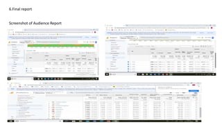 6.Final report
Screenshot of Audience Report
 