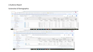 2.Audience Report
Screenshot of Demographics
 